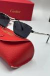 Cartier Gümüş İthal Unisex Güneş Gözlük G3779