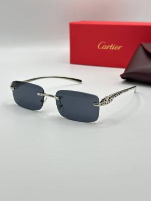Cartier Siyah- Gümüş İthal Unisex Gözlük G3667-VLL